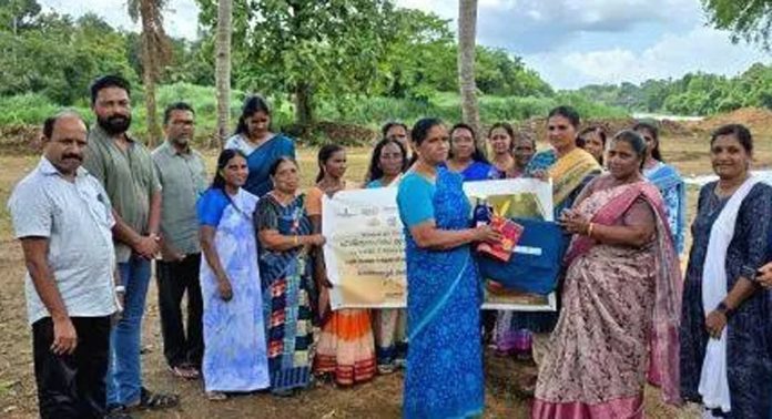 ചെങ്ങന്നൂർ നഗരസഭാ അമൃത മിത്ര പദ്ധതിയുടെ ഭാഗമായി വുമൺ ഫോർ ട്രീ ഹരിത നഗരം ക്യാമ്പയിൻ നടത്തി ചെങ്ങന്നൂർ നഗരസഭാ അമൃത മിത്ര പദ്ധതിയുടെ ഭാഗമായി വുമൺ ഫോർ ട്രീ ഹരിത നഗരം ക്യാമ്പയിൻ നടത്തി