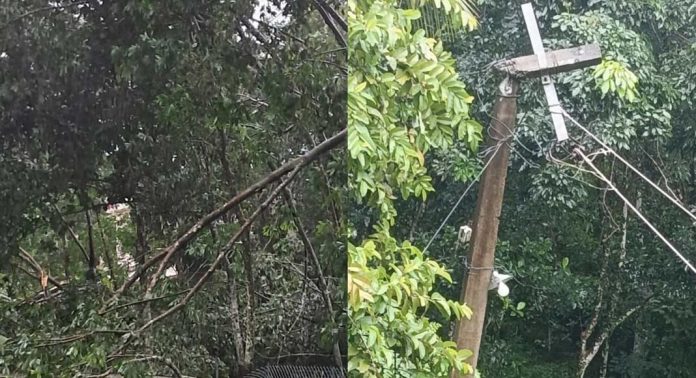 ശക്തമായ കാറ്റ് ; വാര്യാപുരം വാർഡിൻ്റെ വിവിധ ഭാഗങ്ങളിൽ വൻ നാശനഷ്ടം ശക്തമായ കാറ്റ് ; വാര്യാപുരം വാർഡിൻ്റെ വിവിധ ഭാഗങ്ങളിൽ വൻ നാശനഷ്ടം