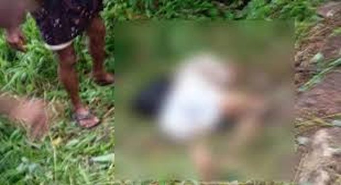 പാലക്കാട് കാട്ടാനയാക്രമണത്തിൽ ടാപ്പിംഗ് തൊഴിലാളി മരിച്ച സംഭവത്തിൽ പോസ്റ്റ്മോർട്ടം റിപ്പോർട്ട് പുറത്ത് പാലക്കാട് കാട്ടാനയാക്രമണത്തിൽ ടാപ്പിംഗ് തൊഴിലാളി മരിച്ച സംഭവത്തിൽ പോസ്റ്റ്മോർട്ടം റിപ്പോർട്ട് പുറത്ത്