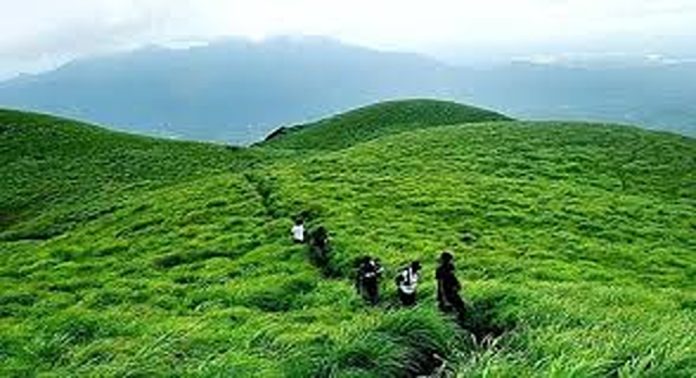 വയനാട് വിനോദ സഞ്ചാര കേന്ദ്രങ്ങളിൽ നിയന്ത്രണം ഏർപ്പെടുത്തി വയനാട് വിനോദ സഞ്ചാര കേന്ദ്രങ്ങളിൽ നിയന്ത്രണം ഏർപ്പെടുത്തി