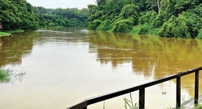 കാലവർഷം തുടങ്ങിയതോടെ കല്ലടയാറ്റിൽ ജലനിരപ്പ് ഉയർന്നു കാലവർഷം തുടങ്ങിയതോടെ കല്ലടയാറ്റിൽ ജലനിരപ്പ് ഉയർന്നു