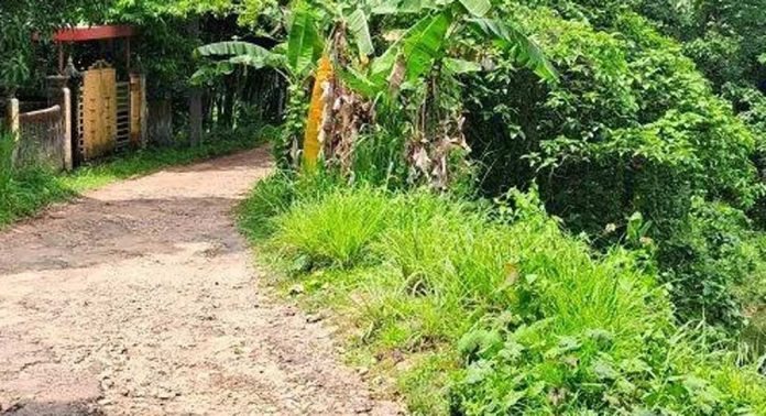 ഏഴംകുളം കെ.ഐ.പി കനാൽ റോഡ് തകർന്നിട്ടും അധികൃതർ തിരിഞ്ഞു നോക്കുന്നില്ലെന്ന് പരാതി ഏഴംകുളം കെ.ഐ.പി കനാൽ റോഡ് തകർന്നിട്ടും അധികൃതർ തിരിഞ്ഞു നോക്കുന്നില്ലെന്ന് പരാതി