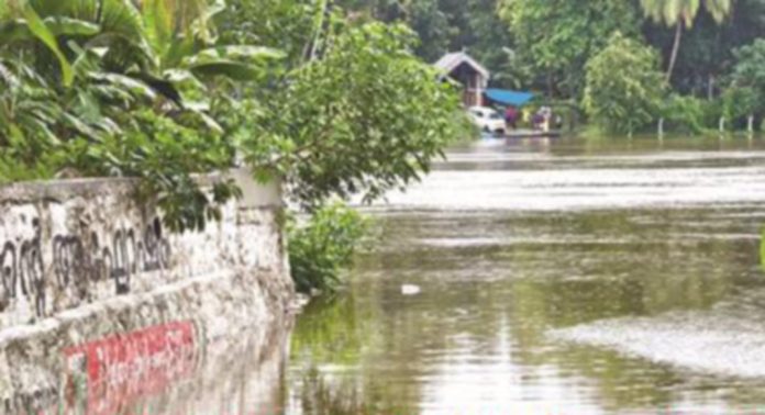 കനത്ത മഴ ; എഴിക്കാട് കോളനി വെള്ളത്തിൽ കനത്ത മഴ ; എഴിക്കാട് കോളനി വെള്ളത്തിൽ