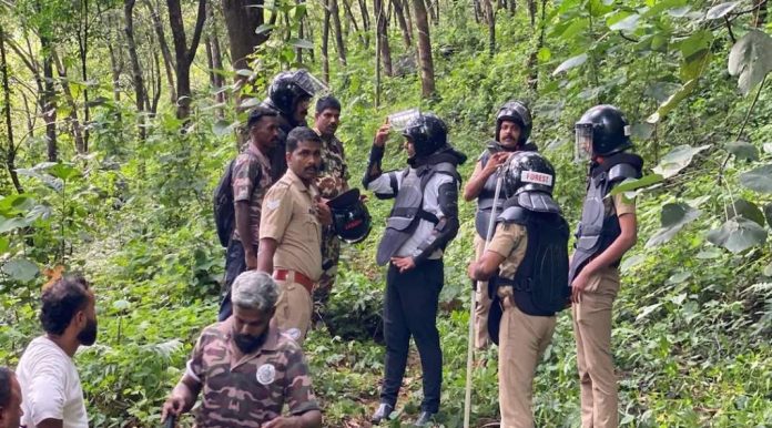 കാളികാവ് പ്രദേശത്ത് ഒന്നിലേറെ കടുവകൾ ; കണ്ടത് വയസ്സൻ കടുവയെ കാളികാവ് പ്രദേശത്ത് ഒന്നിലേറെ കടുവകൾ ; കണ്ടത് വയസ്സൻ കടുവയെ