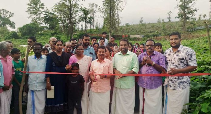 കോളാമല – കോട്ടക്കുഴി റോഡ് ഉദ്ഘാടനം ചെയ്തു കോളാമല – കോട്ടക്കുഴി റോഡ് ഉദ്ഘാടനം ചെയ്തു