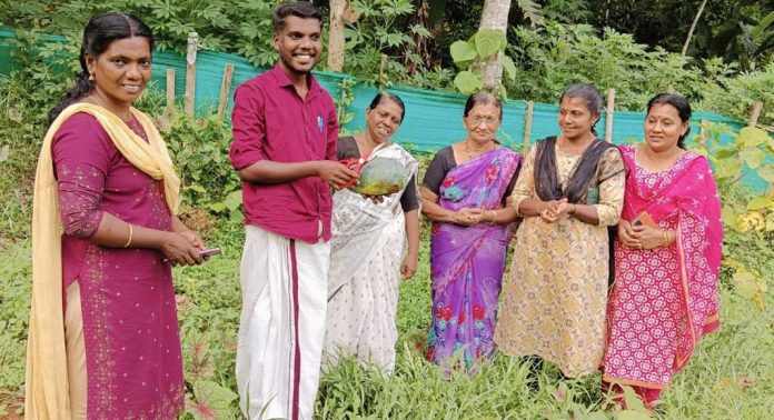 കോട്ടാങ്ങല് സിഡിഎസ് ജില്ലാ മിഷന് പദ്ധതി പ്രകാരം നടപ്പാക്കിയ തണ്ണിമത്തന് കൃഷി വിളവെടുപ്പ് ഉദ്ഘാടനം നടത്തി കോട്ടാങ്ങല് സിഡിഎസ് ജില്ലാ മിഷന് പദ്ധതി പ്രകാരം നടപ്പാക്കിയ തണ്ണിമത്തന് കൃഷി വിളവെടുപ്പ് ഉദ്ഘാടനം നടത്തി