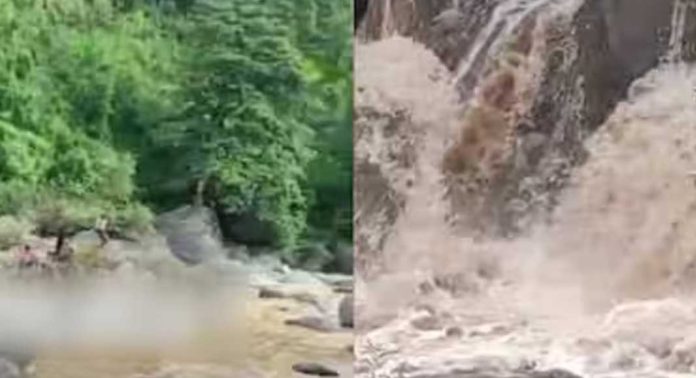 കോടഞ്ചേരി നാരങ്ങാത്തോട് പതങ്കയത്ത് അപ്രതീക്ഷിതമായുണ്ടായ മലവെള്ളപ്പാച്ചിലില് 150ലേറെ വിനോദ സഞ്ചാരികള് കുടുങ്ങി കോടഞ്ചേരി നാരങ്ങാത്തോട് പതങ്കയത്ത് അപ്രതീക്ഷിതമായുണ്ടായ മലവെള്ളപ്പാച്ചിലില് 150ലേറെ വിനോദ സഞ്ചാരികള് കുടുങ്ങി