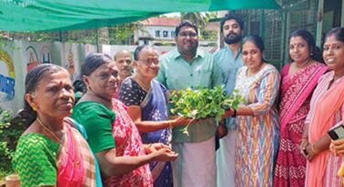 നെടുമ്പ്രം ഗ്രാമപ്പഞ്ചായത്തിൽ ഹൈബ്രിഡ് തൈകളുടെ വിതരണം തുടങ്ങി നെടുമ്പ്രം ഗ്രാമപ്പഞ്ചായത്തിൽ ഹൈബ്രിഡ് തൈകളുടെ വിതരണം തുടങ്ങി