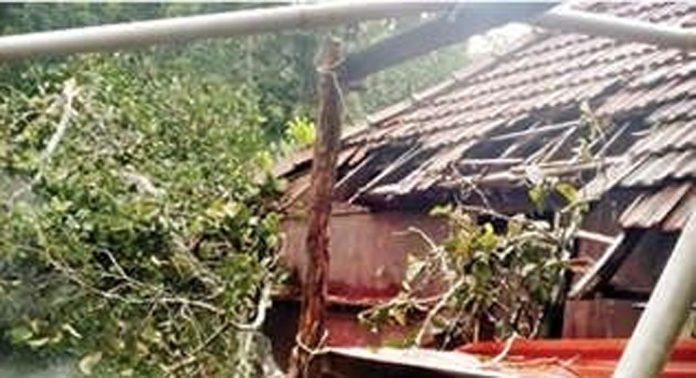 കനത്തമഴ ; ഇലവുംതിട്ടയിലും ചെന്നീർക്കരയിലും വ്യാപക നാശനഷ്ടം കനത്തമഴ ; ഇലവുംതിട്ടയിലും ചെന്നീർക്കരയിലും വ്യാപക നാശനഷ്ടം