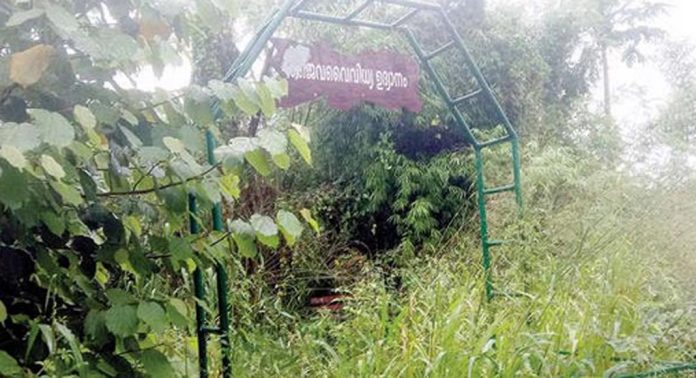 കാടുകയറി കോഴഞ്ചേരിയിലെ ജൈവവൈവിധ്യ ഉദ്യാനം കാടുകയറി കോഴഞ്ചേരിയിലെ ജൈവവൈവിധ്യ ഉദ്യാനം