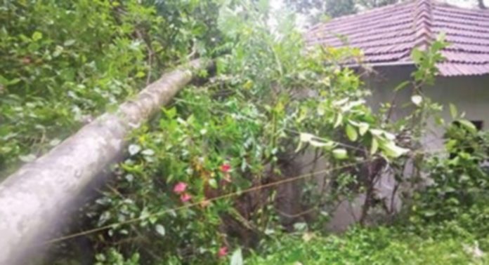 കനത്ത മഴയിലും കാറ്റിലും കവിയൂരിൽ മൂന്നുവീടുകൾക്ക് നാശം കനത്ത മഴയിലും കാറ്റിലും കവിയൂരിൽ മൂന്നുവീടുകൾക്ക് നാശം