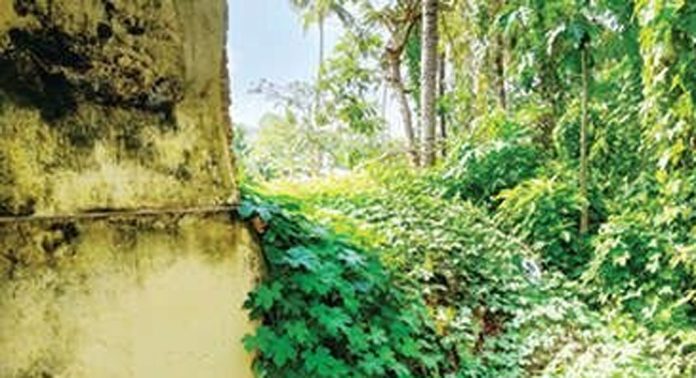 കവിയൂർ മഹാദേവക്ഷേത്രത്തിൽ ഇടിഞ്ഞുവീണ മതിൽക്കെട്ട് പുനർനിർമിക്കാത്ത ദേവസ്വം ബോർഡ് നടപടിക്കെതിരേ ഭക്തജനപ്രതിഷേധം കവിയൂർ മഹാദേവക്ഷേത്രത്തിൽ ഇടിഞ്ഞുവീണ മതിൽക്കെട്ട് പുനർനിർമിക്കാത്ത ദേവസ്വം ബോർഡ് നടപടിക്കെതിരേ ഭക്തജനപ്രതിഷേധം