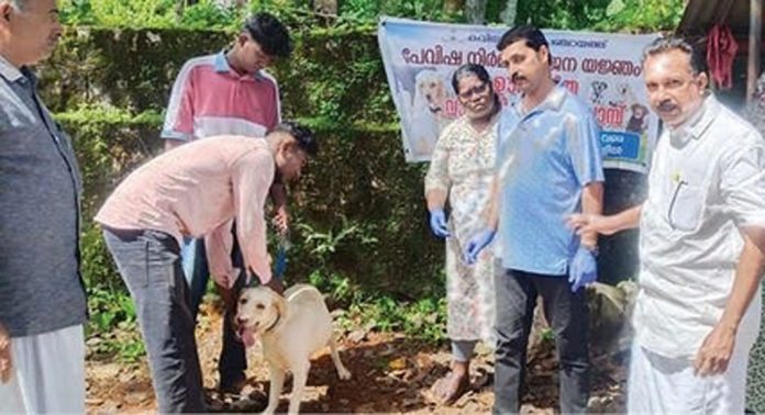 പേവിഷ നിർമാർജനയജ്ഞത്തിന്റെ ഭാഗമായി നായ്ക്കൾക്ക് പ്രതിരോധ കുത്തിവെപ്പ് എടുക്കുന്ന പദ്ധതി കവിയൂരിൽ തുടങ്ങി പേവിഷ നിർമാർജനയജ്ഞത്തിന്റെ ഭാഗമായി നായ്ക്കൾക്ക് പ്രതിരോധ കുത്തിവെപ്പ് എടുക്കുന്ന പദ്ധതി കവിയൂരിൽ തുടങ്ങി