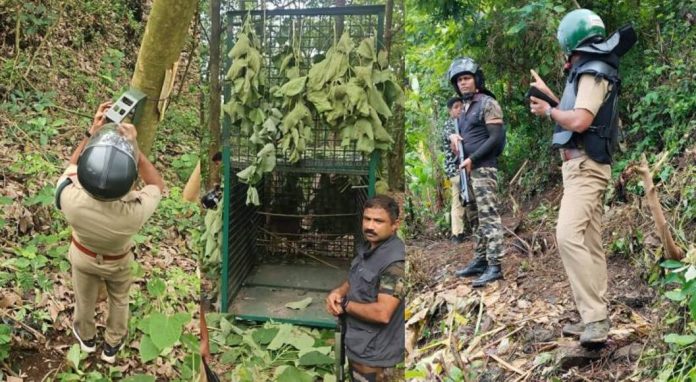 കാളികാവിൽ കടുവക്കായുള്ള തിരച്ചിൽ പതിനൊന്നാം ദിവസത്തിലേക്ക് കാളികാവിൽ കടുവക്കായുള്ള തിരച്ചിൽ പതിനൊന്നാം ദിവസത്തിലേക്ക്