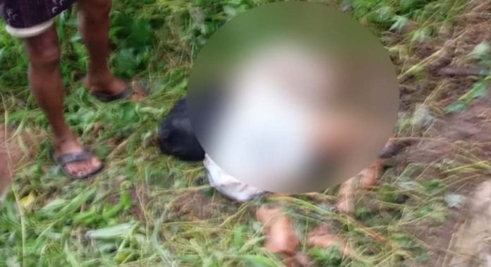 കാട്ടാന ആക്രമണത്തിൽ കൊല്ലപ്പെട്ട കർഷകന്റെ മൃതദേഹം ഇന്ന് പോസ്റ്റ്മോര്ട്ടം ചെയ്യും കാട്ടാന ആക്രമണത്തിൽ കൊല്ലപ്പെട്ട കർഷകന്റെ മൃതദേഹം ഇന്ന് പോസ്റ്റ്മോര്ട്ടം ചെയ്യും
