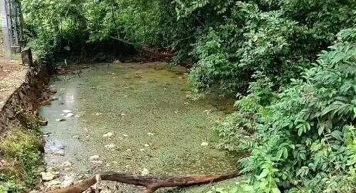 ഉത്തരപള്ളിയാർ പുനരുജ്ജീവിപ്പിക്കുക തന്നെ ചെയ്യുമെന്ന് മന്ത്രി സജി ചെറിയാൻ ഉത്തരപള്ളിയാർ പുനരുജ്ജീവിപ്പിക്കുക തന്നെ ചെയ്യുമെന്ന് മന്ത്രി സജി ചെറിയാൻ