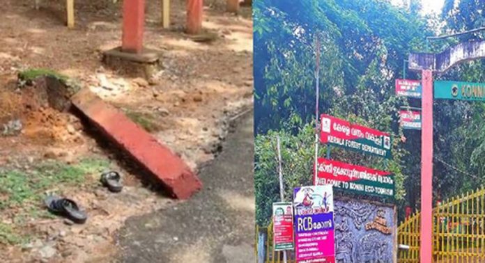 കോന്നി ആനക്കൂട്ടിൽ കോൺക്രീറ്റ് തൂൺ വീണ് കുട്ടി മരിച്ച സംഭവം ; 4 ഉദ്യോഗസ്ഥരുടെ സസ്പെൻഷൻ പിൻവലിച്ച് വനംവകുപ്പ് കോന്നി ആനക്കൂട്ടിൽ കോൺക്രീറ്റ് തൂൺ വീണ് കുട്ടി മരിച്ച സംഭവം ; 4 ഉദ്യോഗസ്ഥരുടെ സസ്പെൻഷൻ പിൻവലിച്ച് വനംവകുപ്പ്