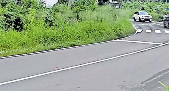 മാവേലിക്കര– കോഴഞ്ചേരി റോഡിന്റെ വശങ്ങൾ കാട് കയറുന്നു മാവേലിക്കര– കോഴഞ്ചേരി റോഡിന്റെ വശങ്ങൾ കാട് കയറുന്നു