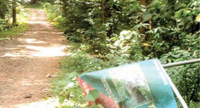 കല്ലേലി – അച്ചൻകോവിൽ റോഡ് നന്നാക്കും കല്ലേലി – അച്ചൻകോവിൽ റോഡ് നന്നാക്കും