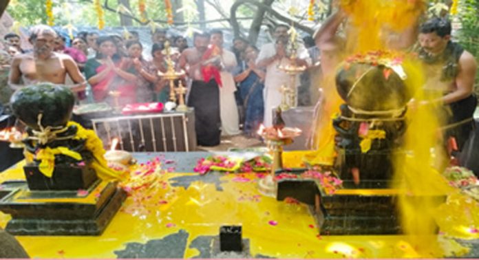 കോന്നി കല്ലേലി ഊരാളി അപ്പൂപ്പൻ കാവിൽ നാഗ പൂജ സമർപ്പിച്ചു കോന്നി കല്ലേലി ഊരാളി അപ്പൂപ്പൻ കാവിൽ നാഗ പൂജ സമർപ്പിച്ചു
