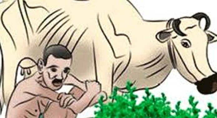 സംസ്ഥാനത്തെ ക്ഷീരകർഷകരുടെ പ്രശ്നങ്ങൾക്ക് പരിഹാരം കാണാൻ സർക്കാർ അടിയന്തിര നടപടി സ്വീകരിക്കണമെന്ന് ഐ.എൻ.ടി.യുസി സംസ്ഥാനത്തെ ക്ഷീരകർഷകരുടെ പ്രശ്നങ്ങൾക്ക് പരിഹാരം കാണാൻ സർക്കാർ അടിയന്തിര നടപടി സ്വീകരിക്കണമെന്ന് ഐ.എൻ.ടി.യുസി