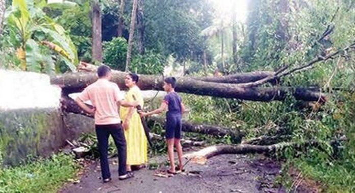കാറ്റ് ; കീഴ്വായ്പൂരിൽ തകർന്നത് നാലുവീട് കാറ്റ് ; കീഴ്വായ്പൂരിൽ തകർന്നത് നാലുവീട്