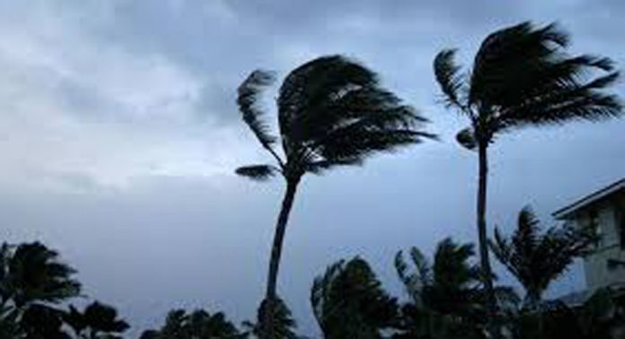 പത്തനംതിട്ടയില് കനത്ത കാറ്റിലും മഴയിലും പരക്കെ നാശനഷ്ടം പത്തനംതിട്ടയില് കനത്ത കാറ്റിലും മഴയിലും പരക്കെ നാശനഷ്ടം