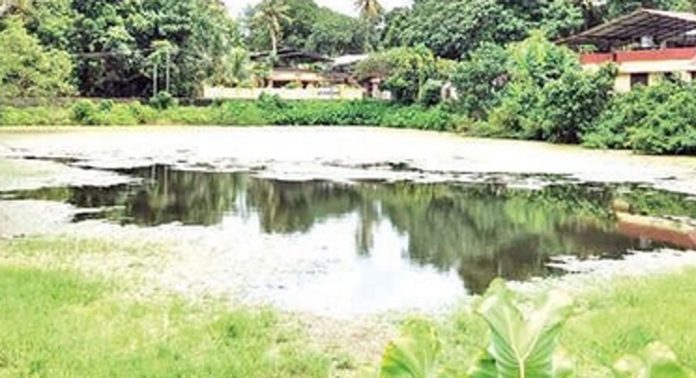 മാവേലിക്കര, കണ്ടിയൂർ ക്ഷേത്രക്കുളങ്ങളുടെ നവീകരണം നടപ്പായില്ല മാവേലിക്കര, കണ്ടിയൂർ ക്ഷേത്രക്കുളങ്ങളുടെ നവീകരണം നടപ്പായില്ല