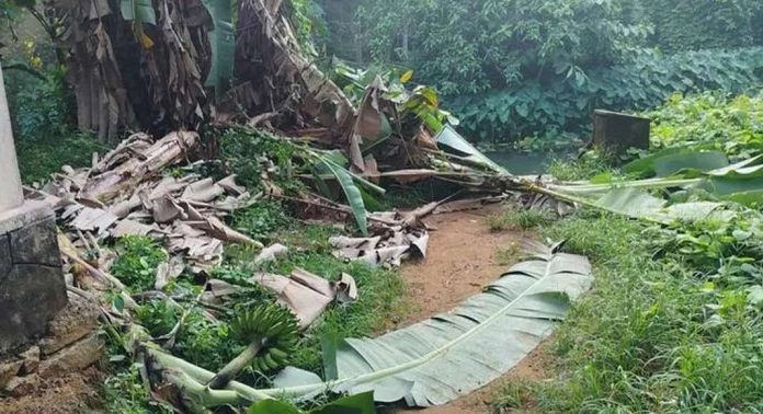 നെടുമ്പ്രം ഗ്രാമീണ വായനശാലയുടെ നേർക്ക് സാമൂഹ്യ വിരുദ്ധർ അക്രമം നടത്തി നെടുമ്പ്രം ഗ്രാമീണ വായനശാലയുടെ നേർക്ക് സാമൂഹ്യ വിരുദ്ധർ അക്രമം നടത്തി