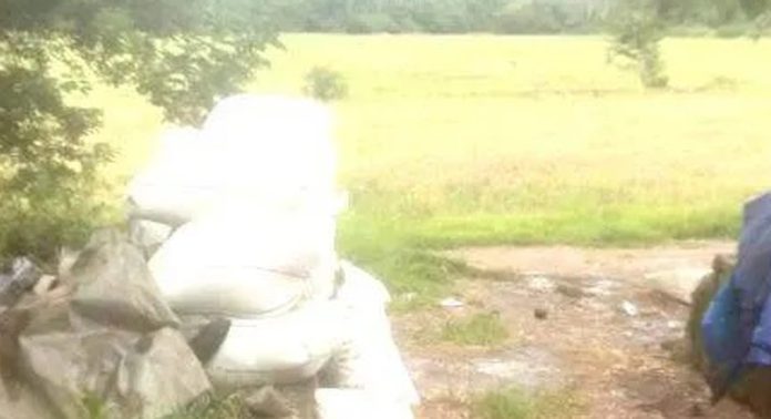 കൊയ്ത്ത് കഴിഞ്ഞിട്ട് ഒരു മാസം ; വെണ്ണീർവിള പാടത്തെ നെല്ല് ഇതുവരെ സംഭരിച്ചില്ല കൊയ്ത്ത് കഴിഞ്ഞിട്ട് ഒരു മാസം ; വെണ്ണീർവിള പാടത്തെ നെല്ല് ഇതുവരെ സംഭരിച്ചില്ല