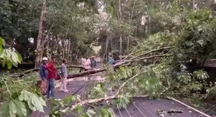 മഴയും കാറ്റും ; പ്രമാടത്ത് വ്യാപക നാശനഷ്ടം മഴയും കാറ്റും ; പ്രമാടത്ത് വ്യാപക നാശനഷ്ടം