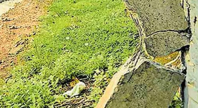 വെട്ടൂർ– പുന്നൂർക്കടവ് റോഡിൽ അപകടഭീഷണിയായി ഒടിഞ്ഞുതൂങ്ങിയ വൈദ്യുതി തൂൺ വെട്ടൂർ– പുന്നൂർക്കടവ് റോഡിൽ അപകടഭീഷണിയായി ഒടിഞ്ഞുതൂങ്ങിയ വൈദ്യുതി തൂൺ