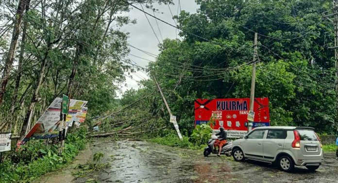 കാറ്റില് മരങ്ങള് കടപുഴകി വീണു ; റാന്നി ടൗണില് വന് ഗതാഗതക്കുരുക്ക് കാറ്റില് മരങ്ങള് കടപുഴകി വീണു ; റാന്നി ടൗണില് വന് ഗതാഗതക്കുരുക്ക്