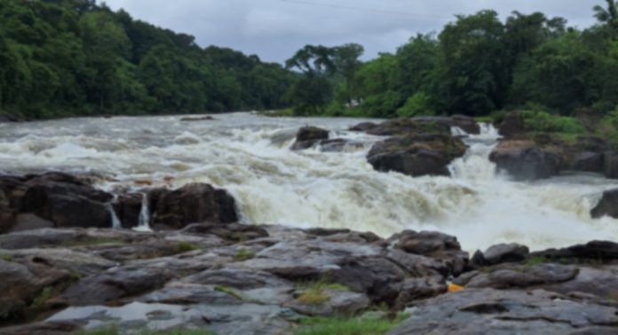പെരുന്തേനരുവി ടൂറിസം പദ്ധതിയുടെ വികസനത്തിനായി 7 കോടി രൂപ അനുവദിച്ചു ; അഡ്വ.പ്രമോദ് നാരായൺ എംഎൽഎ പെരുന്തേനരുവി ടൂറിസം പദ്ധതിയുടെ വികസനത്തിനായി 7 കോടി രൂപ അനുവദിച്ചു ; അഡ്വ.പ്രമോദ് നാരായൺ എംഎൽഎ
