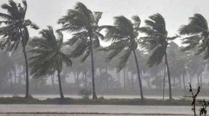 ഇന്നും ശക്തമായ മഴ ; മൂന്ന് ജില്ലകളില് റെഡ് അലര്ട്ട് ഇന്നും ശക്തമായ മഴ ; മൂന്ന് ജില്ലകളില് റെഡ് അലര്ട്ട്
