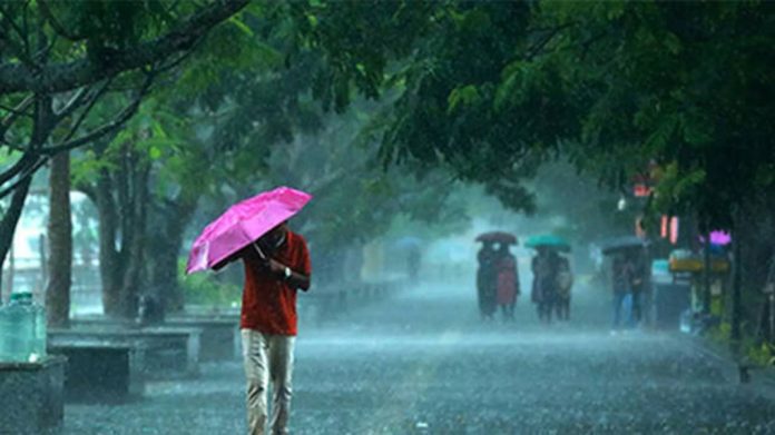 അടുത്ത മൂന്ന് മണിക്കൂറിൽ എല്ലാ ജില്ലകളിലും തീവ്രമഴയ്ക്ക് സാധ്യത അടുത്ത മൂന്ന് മണിക്കൂറിൽ എല്ലാ ജില്ലകളിലും തീവ്രമഴയ്ക്ക് സാധ്യത