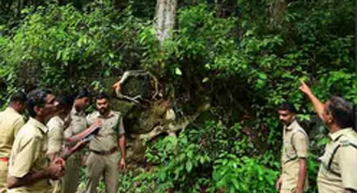 രാഷ്ട്രപതിയുടെ ശബരിമല സന്ദർശനം : പമ്പ പാതയിൽ മുറിച്ചു നീക്കേണ്ടത് 21 മരങ്ങൾ രാഷ്ട്രപതിയുടെ ശബരിമല സന്ദർശനം : പമ്പ പാതയിൽ മുറിച്ചു നീക്കേണ്ടത് 21 മരങ്ങൾ