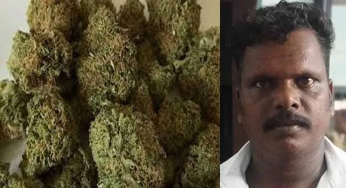 ഒഡീഷ സ്വദേശിയുമായി കഞ്ചാവ് കൈമാറ്റ ഇടപാടില് ഏര്പ്പെട്ടയാളെ തിരുവല്ല പോലീസ് പിടികൂടി ഒഡീഷ സ്വദേശിയുമായി കഞ്ചാവ് കൈമാറ്റ ഇടപാടില് ഏര്പ്പെട്ടയാളെ തിരുവല്ല പോലീസ് പിടികൂടി
