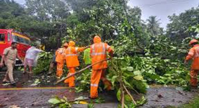 ശക്തമായ മഴയിലും കാറ്റിലും തിരുവല്ലയിൽ വ്യാപക നാശനഷ്ടം ശക്തമായ മഴയിലും കാറ്റിലും തിരുവല്ലയിൽ വ്യാപക നാശനഷ്ടം
