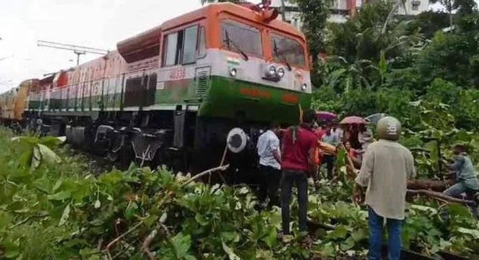 തിരുവല്ല കുറ്റപ്പുഴയിൽ ഓടിക്കൊണ്ടിരുന്ന ട്രെയിനിന് മുന്നിലേക്ക് തേക്ക് മരം കടപുഴകി വീണു തിരുവല്ല കുറ്റപ്പുഴയിൽ ഓടിക്കൊണ്ടിരുന്ന ട്രെയിനിന് മുന്നിലേക്ക് തേക്ക് മരം കടപുഴകി വീണു