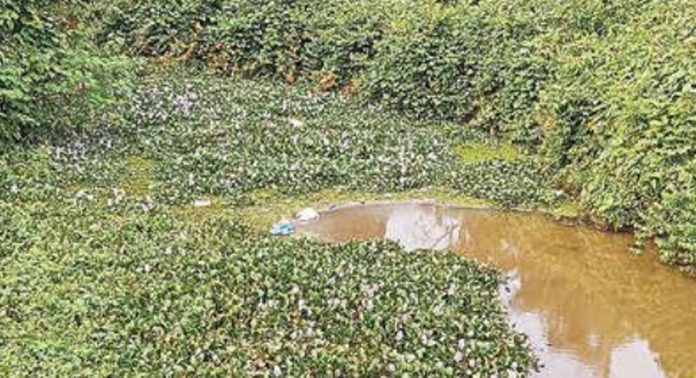 മഴക്കാലപൂർവ ശുചീകരണം തുടങ്ങിയില്ല ; തോടുകളില് മണ്ണും മാലിന്യവും മഴക്കാലപൂർവ ശുചീകരണം തുടങ്ങിയില്ല ; തോടുകളില് മണ്ണും മാലിന്യവും