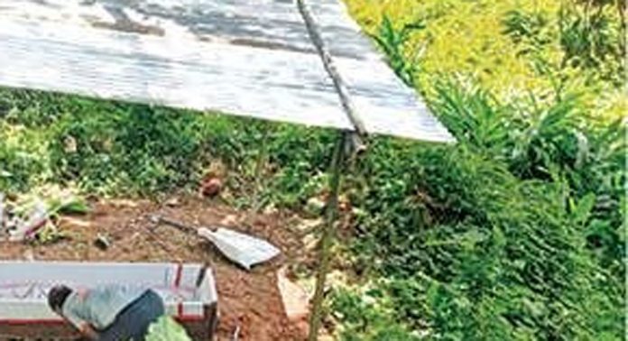 തോട്ടപ്പുഴശ്ശേരി പഞ്ചായത്തിലെ പൊതുശ്മശാനം ആധുനികരിക്കണമെന്ന ആവശ്യം അംഗീകരിക്കാതെ അധികാരികള് തോട്ടപ്പുഴശ്ശേരി പഞ്ചായത്തിലെ പൊതുശ്മശാനം ആധുനികരിക്കണമെന്ന ആവശ്യം അംഗീകരിക്കാതെ അധികാരികള്