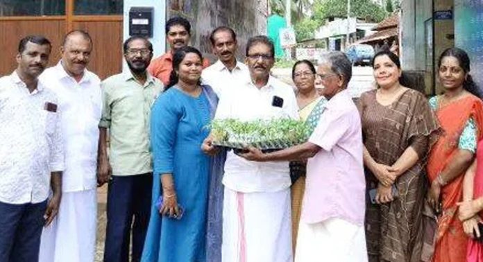 വള്ളിക്കോട് ഗ്രാമപഞ്ചായത്ത് നടപ്പാക്കുന്ന പച്ചക്കറി തൈ വിതരണം ഉദ്ഘാടനം ചെയ്തു വള്ളിക്കോട് ഗ്രാമപഞ്ചായത്ത് നടപ്പാക്കുന്ന പച്ചക്കറി തൈ വിതരണം ഉദ്ഘാടനം ചെയ്തു
