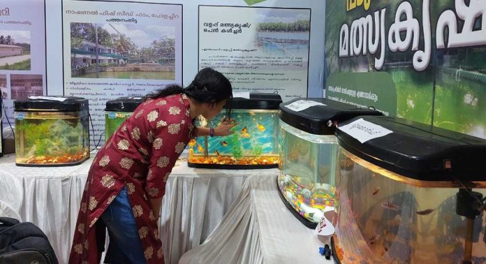 മത്സ്യകൃഷിയിലെ നൂതന സാങ്കേതിക വിദ്യയുമായി മത്സ്യ വകുപ്പിന്റെ സ്റ്റാള് മത്സ്യകൃഷിയിലെ നൂതന സാങ്കേതിക വിദ്യയുമായി മത്സ്യ വകുപ്പിന്റെ സ്റ്റാള്