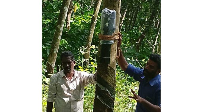 കുളത്തുമണ്ണിൽ കാട്ടാന ഇറങ്ങിയാൽ ഇനി അലാം മുഴങ്ങും കുളത്തുമണ്ണിൽ കാട്ടാന ഇറങ്ങിയാൽ ഇനി അലാം മുഴങ്ങും