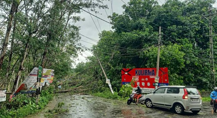 കനത്ത മഴയോടൊപ്പം വീശിയടിച്ച കാറ്റില് റാന്നിയിൽ മരങ്ങള് കടപുഴകി വീണു ; ഗതാഗത കുരുക്ക് കനത്ത മഴയോടൊപ്പം വീശിയടിച്ച കാറ്റില് റാന്നിയിൽ മരങ്ങള് കടപുഴകി വീണു ; ഗതാഗത കുരുക്ക്