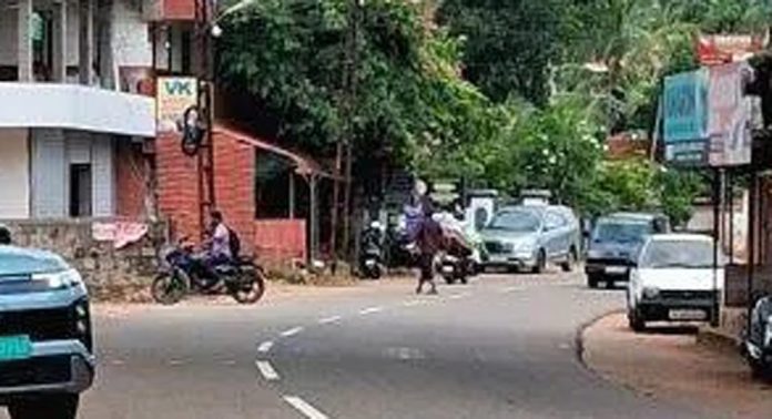 വെള്ളകുളങ്ങര ജംഗ്ഷനും മണക്കാലയ്ക്കും ഇടയിൽ വാഹനാപകടങ്ങൾ ഒഴിവാക്കാൻ അടിയന്തിര നടപടി വേണമെന്ന് നാട്ടുകാർ വെള്ളകുളങ്ങര ജംഗ്ഷനും മണക്കാലയ്ക്കും ഇടയിൽ വാഹനാപകടങ്ങൾ ഒഴിവാക്കാൻ അടിയന്തിര നടപടി വേണമെന്ന് നാട്ടുകാർ
