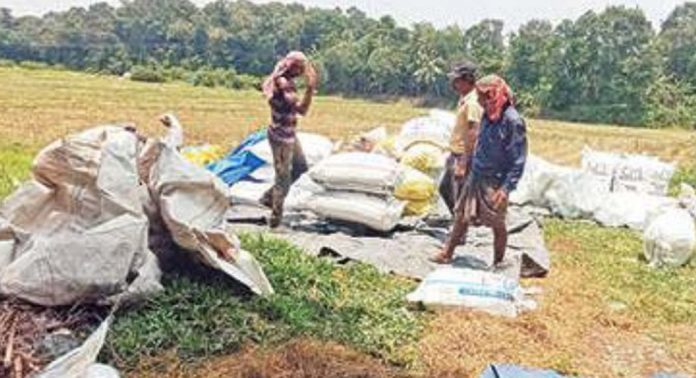 വെൺമണി ഇടനീർ പാടശേഖരത്തിലെ കർഷകർക്ക് ഈ വർഷം നഷ്ടക്കണക്കുകൾ മാത്രം വെൺമണി ഇടനീർ പാടശേഖരത്തിലെ കർഷകർക്ക് ഈ വർഷം നഷ്ടക്കണക്കുകൾ മാത്രം
