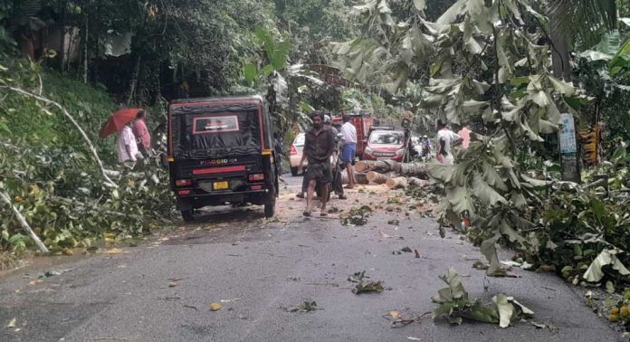 കാറ്റിലും മഴയിലും കോന്നിയിൽ വ്യാപക നാശനഷ്ടം കാറ്റിലും മഴയിലും കോന്നിയിൽ വ്യാപക നാശനഷ്ടം