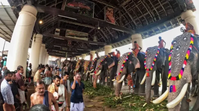 കൂടൽമാണിക്യം ക്ഷേത്രോത്സവത്തിന് കൊടിയേറി കൂടൽമാണിക്യം ക്ഷേത്രോത്സവത്തിന് കൊടിയേറി
